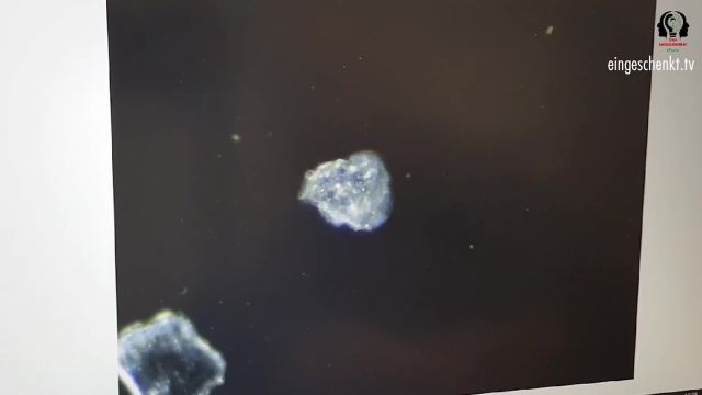 Das_Blut_der_Geimpften