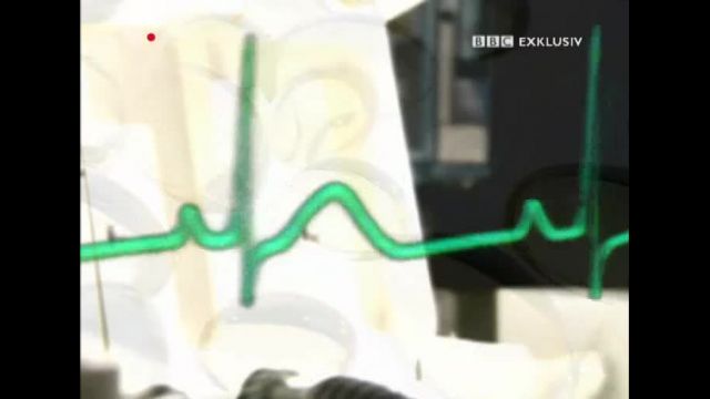 BBC-Vitamine-Die_ganze_Wahrheit_DE