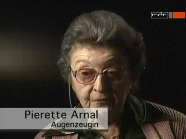 DIE_WAFFEN_SS-Teil3_DE