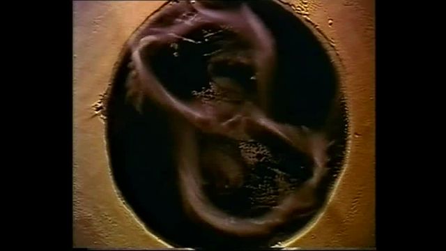 Cymatics-Part4-Soundscapes-Experiments_in_animation_with_sound_and_vibration_EN