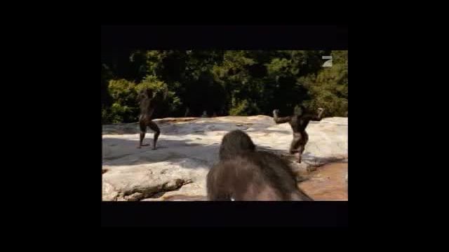 Die_Erben_der_Saurier-Im_Reich_der_Urzeit_DE