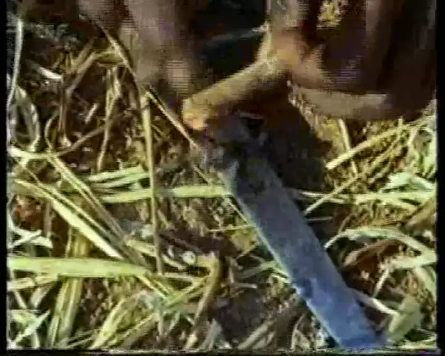 Gegenwelt_Rauschgift_DE