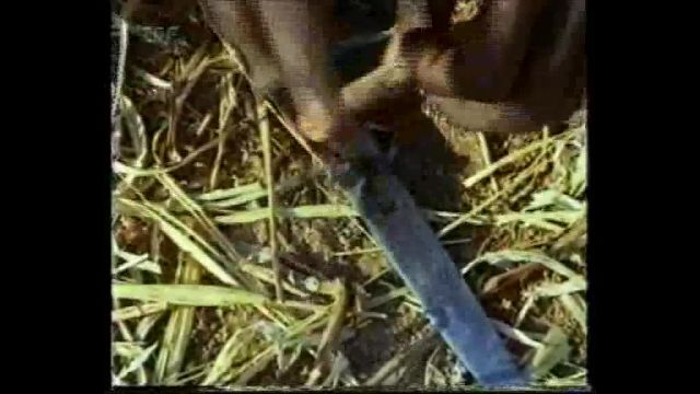 Gegenwelt_Rauschgift_DE