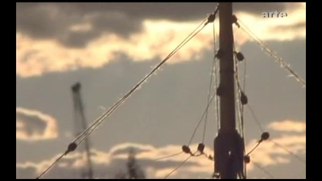 Hanf-Eine_Pflanze_mit_vielen_Gesichtern_DE