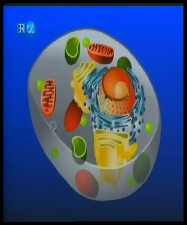 Meilensteine-Die_Zelle-Baustein_des_Lebens_DE