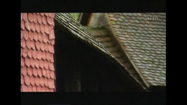 Scheiterhaufen-Die_europaeische_Hexenjagd_DE