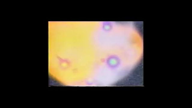 Tesla-The_Race_to_Zero_Point_and_Free_Energy_EN