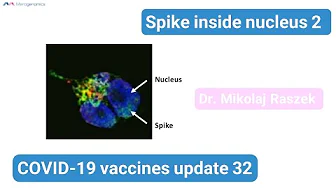 Spike protein in nucleus NEWS - COVID-19 vaccines update 32