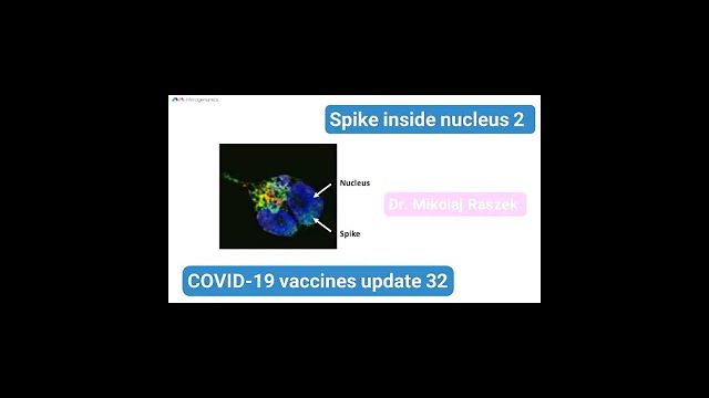 Spike protein in nucleus