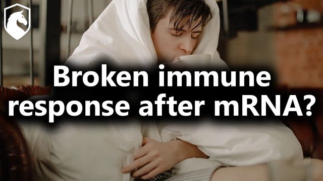 Surprising result around IgG4 antibodies after booster (from Livestream #155)