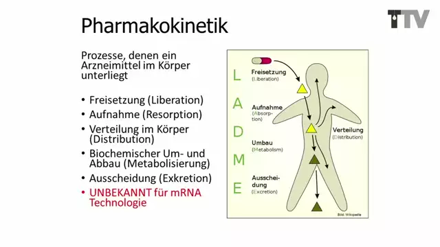 Prof. Dr. Stefan Hockertz - Die wahren Hintergründe der Gentherapie (20221122) (transition-tv.ch)