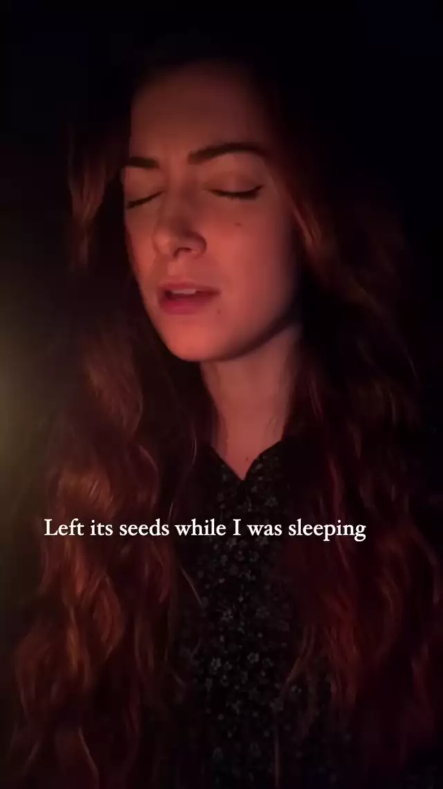 A siren sings The Sound of Silence