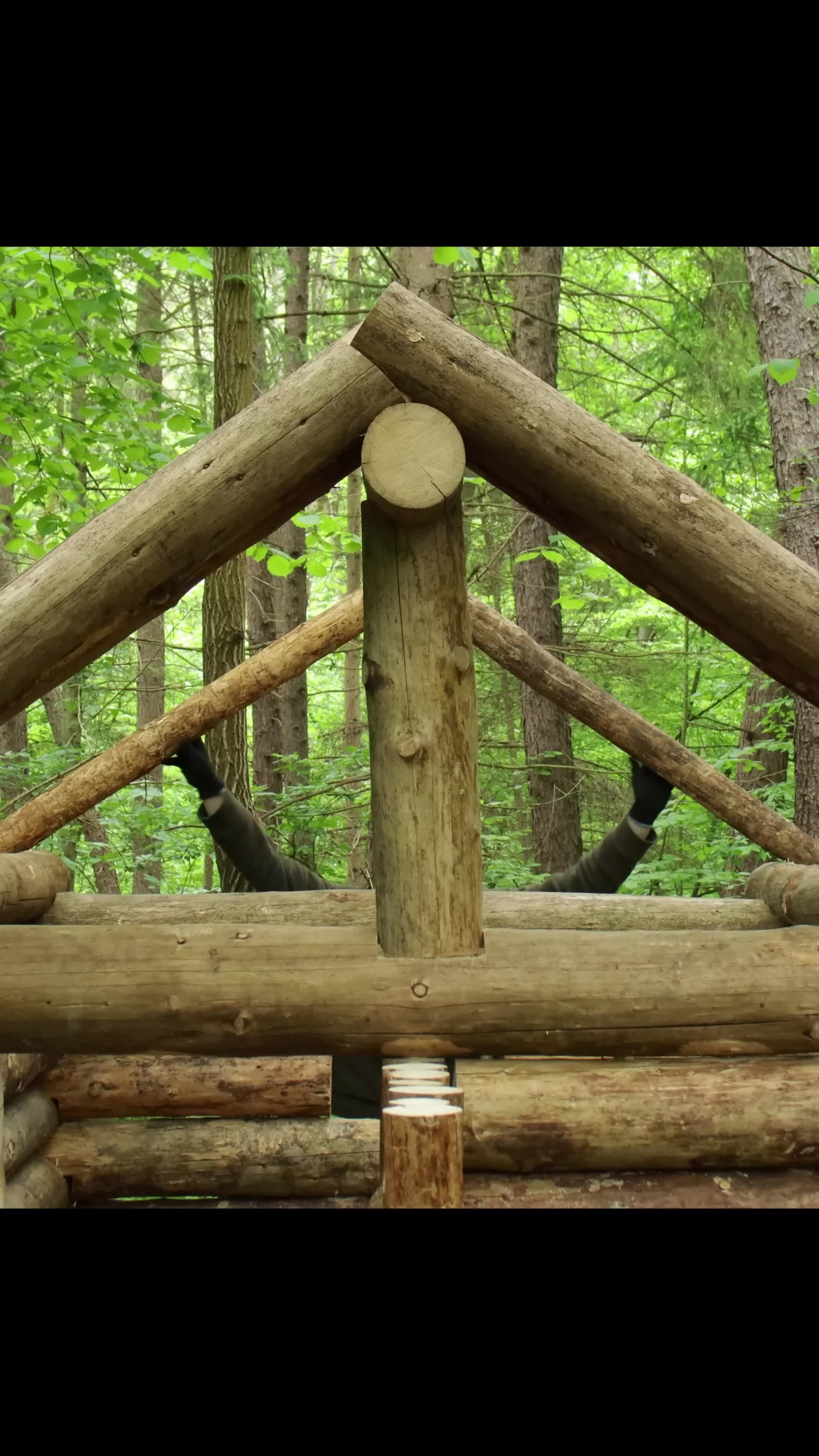 Building a Log Shelter in the Atmospheric Forest _ FULL VIDEO ON MY CHANNEL