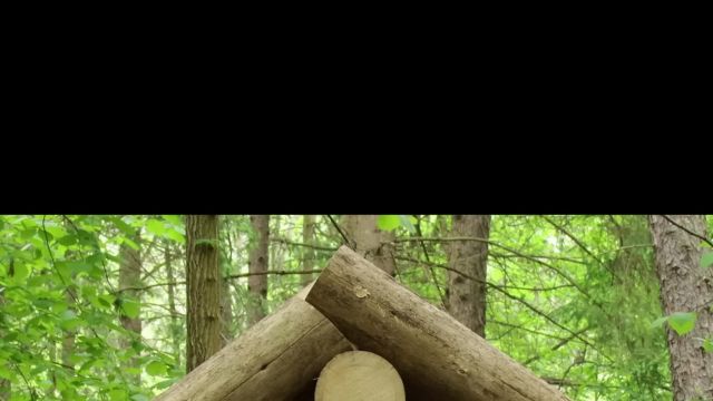 Building a Log Shelter in the Atmospheric Forest _ FULL VIDEO ON MY CHANNEL