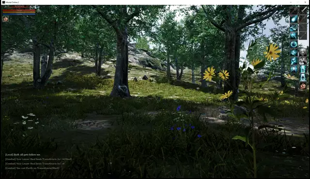 Mortal Online 2 - Aohna