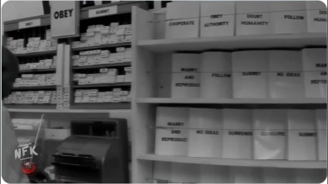 Salesforce Elon XR Goggle Enlightenment