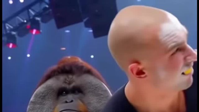 The Buddhas Palm of Slap Fighting