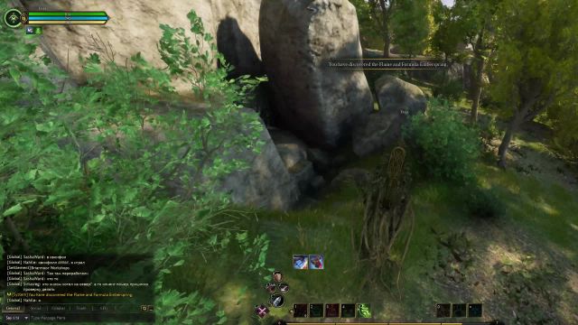 Ashes-of-Creation-2026-02-06-173658