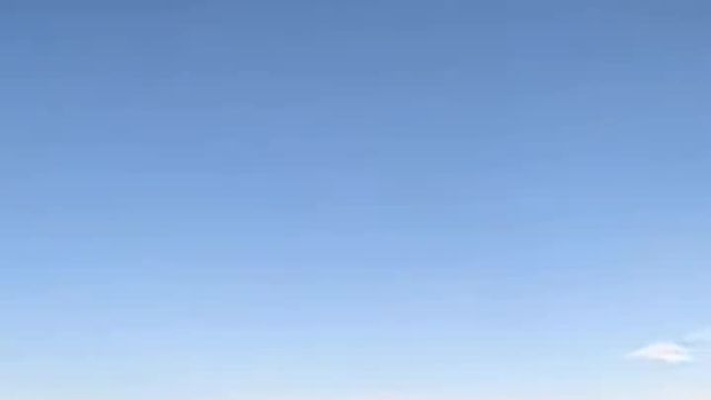 dewalt snowshoepart12