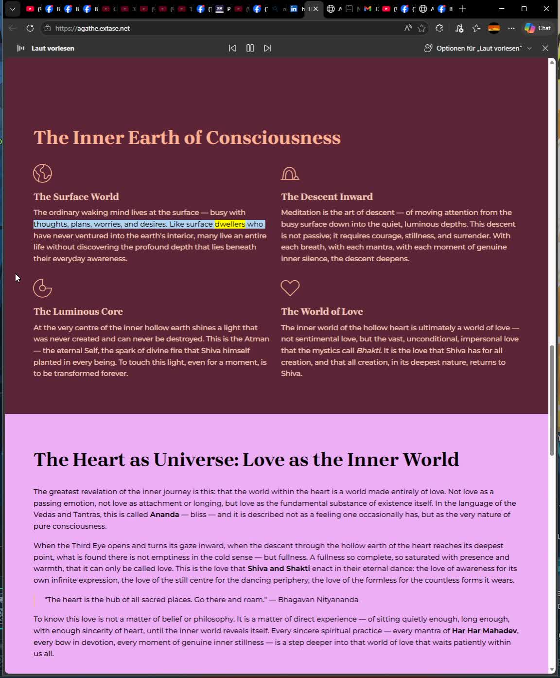 Whats does mean Androgyne Agathean