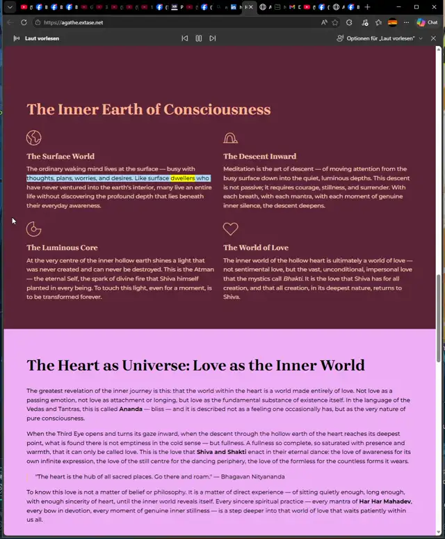 Whats does mean Androgyne Agathean