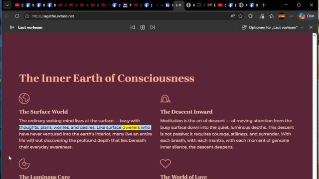 Whats does mean Androgyne Agathean