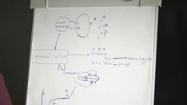 Sucharit Bhakdi erklaert die Wirkungen der neuartigen Impfungen